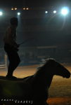 Конные игры / Мир, покоренный лошадьми - шоу Лоренцо