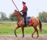 Участник показательных выступлений по военно-прикладным видам конного спорта