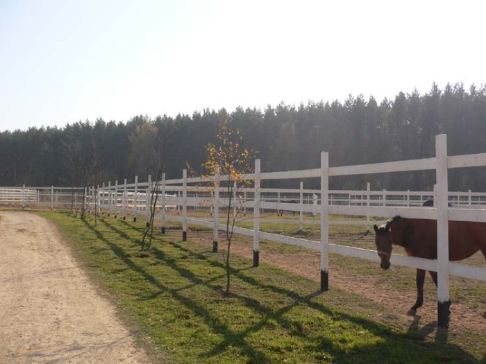 http://www.equestrian.ru/photos/user_photos/a_5b077b.jpg