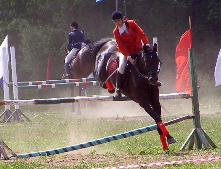 http://www.equestrian.ru/photos/user_photos/a_6f15ef.jpg