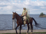 Владелец коня - Богданова Елена