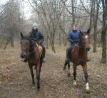 Прогулка в Люберецком парке..