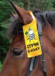 Гранит