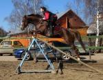 http://horse-way.ru/