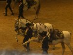 . EQUITANA - всемирная ярмарка конного спорта - происходила с 26.02.05 по 6.03.05 в Германии штадт Эссен .