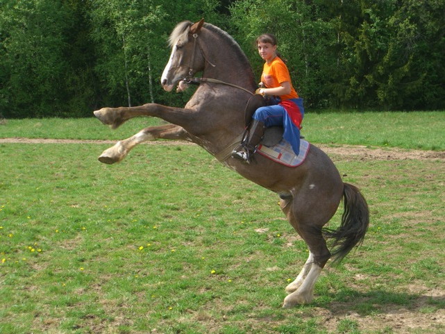 http://www.equestrian.ru/photos/user_photos/a_b20f3a.jpg