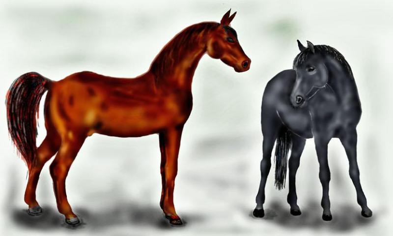 2015 год лошадь. Картинка 7 лошади. Лошадь кат картинка. Россия похожа на лошадь рисунок. Рост лошади по годам.
