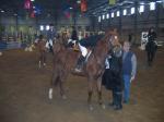 Соревнования в КСК"Перспектива"29.01.05