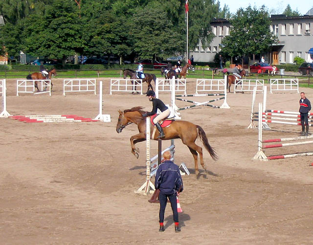 http://www.equestrian.ru/photos/user_photos/a_ec5b30.jpg