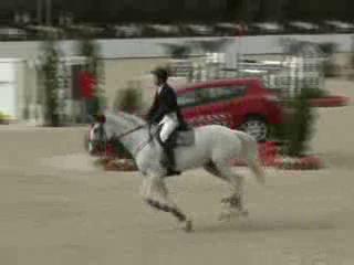 CSI 4* Донбасс-Тур