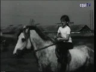 Конный спорт в СССР. 80ые годы.