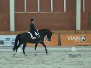 CDI 3* Жашков. Visser Tommie/Santo Domingo