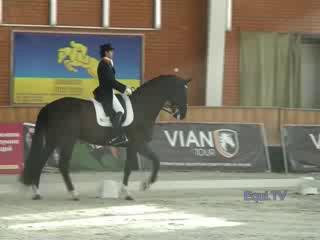 CDI 3* Жашков. Visser Tommie/Vingino