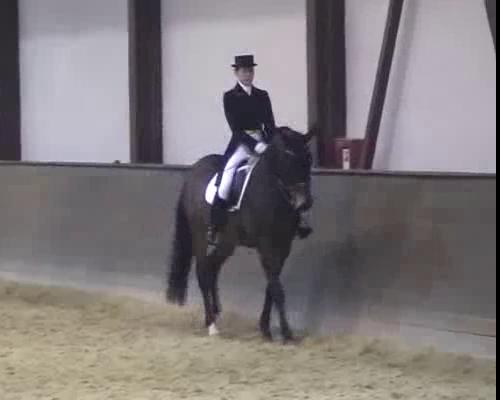 Кубок EQUESTRIAN.RU/Капитанова Мария на Проказнике