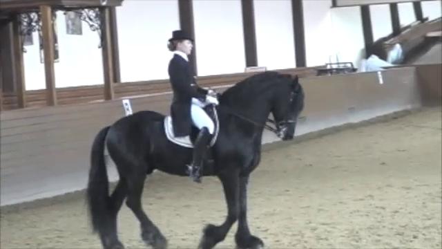 Кубок EQUESTRIAN.RU/Пономарева Елизавета/Вулферт