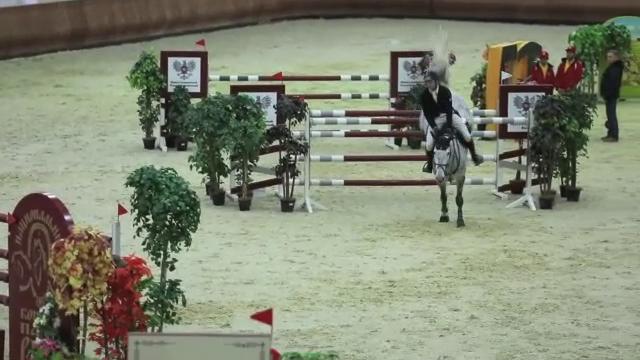 CSI 2* КСК Левадия, перепрыжка Гран-При