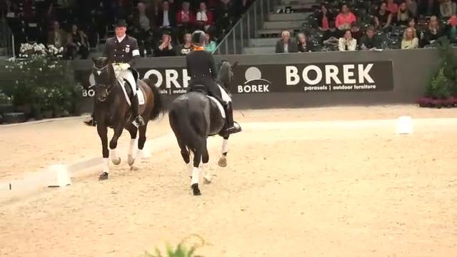 CDI-W Hertogenbosch. Выездка "на вылет"