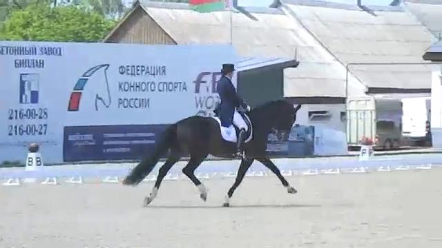 CDI-W Нижний Новгород. КЮР БП. Меркулова И./Мистер Х